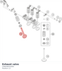 Diagram preview: Exhaust valve (C90036031000)