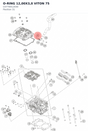 Diagram preview: O-RING 12,00X3,0 VITON 75 (C0770012030)