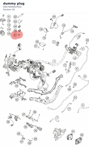 Diagram preview: dummy plug (000700000LP001)
