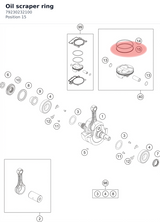 Diagram preview: Oil scraper ring (79230232100)