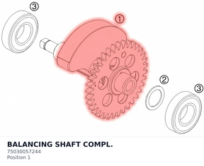 Diagram preview: BALANCING SHAFT COMPL. (75030057244)