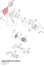 Diagram preview: GEAR PUMP OIL DRIVE (96038001000)