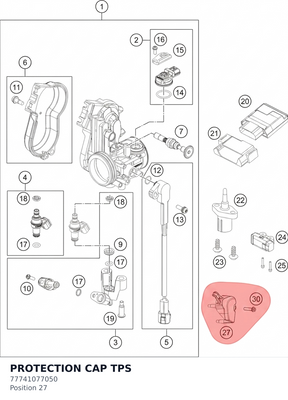 Diagram preview: PROTECTION CAP TPS (77741077050)