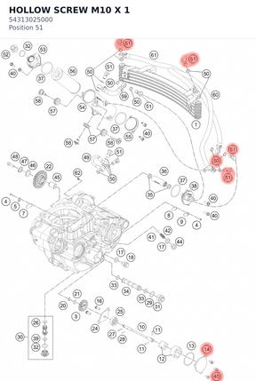 Diagram preview: HOLLOW SCREW M10 X 1 (54313025000)