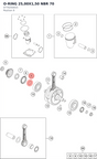 Diagram preview: O-RING 25,00X1,50 NBR 70 (0770250015)