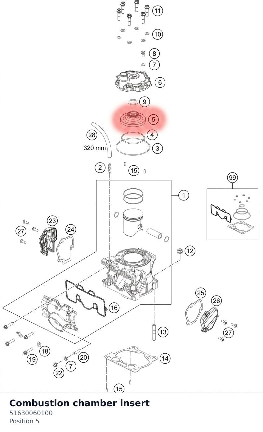 Diagram preview: Combustion chamber insert (51630060100)