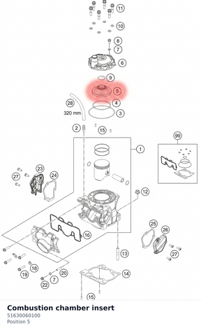 Diagram preview: Combustion chamber insert (51630060100)