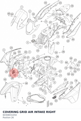 Diagram preview: COVERING GRID AIR INTAKE RIGHT (60308031050)