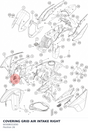 Diagram preview: COVERING GRID AIR INTAKE RIGHT (60308031050)
