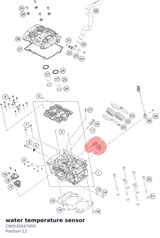 Diagram preview: water temperature sensor (C90035047000)