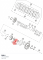Diagram preview: BALL (79532168000)