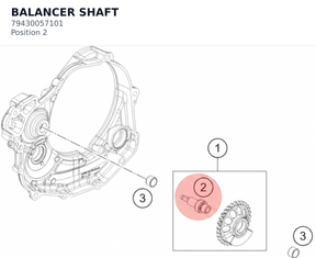 Diagram preview: BALANCER SHAFT (79430057101)