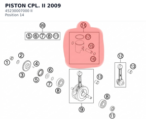 Diagram preview: PISTON CPL. II            2009 (45230007000 II)
