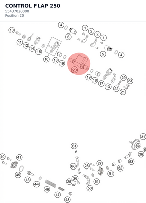 Diagram preview: CONTROL FLAP 250 (55437020000)