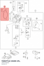Diagram preview: THROTTLE COVER CPL. (79041056044)