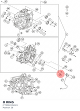 Diagram preview: O RING (J770002024001)