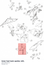 Diagram preview: Inner fuel tank spoiler, left, (A60708023033)