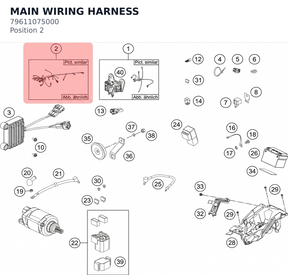 Diagram preview: MAIN WIRING HARNESS (79611075000)
