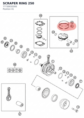 Diagram preview: SCRAPER RING 250 (77730032000)