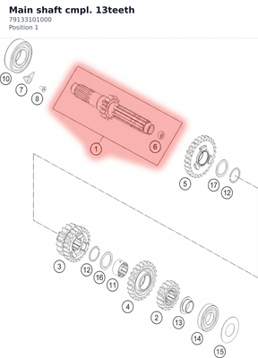 Diagram preview: Main shaft cmpl. 13teeth (79133101000)