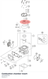 Diagram preview: Combustion chamber insert (50430060100)