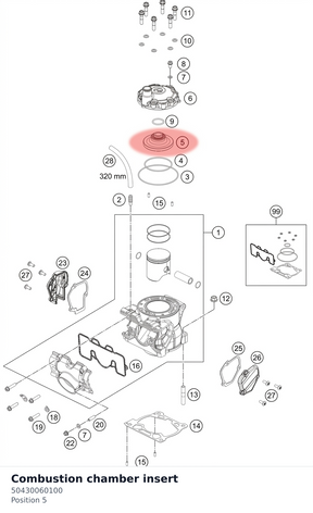 Diagram preview: Combustion chamber insert (50430060100)
