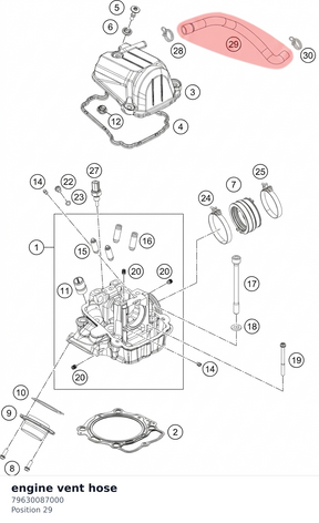Diagram preview: engine vent hose (79630087000)
