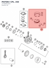 Diagram preview: PISTON I CPL. 250 (77730007100 I)
