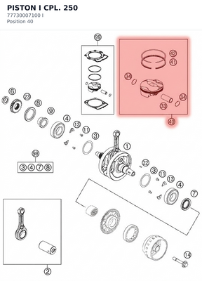 Diagram preview: PISTON I CPL. 250 (77730007100 I)