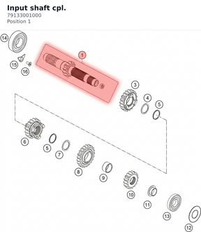 Diagram preview: Input shaft cpl. (79133001000)