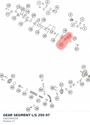 Diagram preview: GEAR SEGMENT L/S 250 07 (54837064150)
