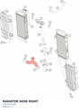 Diagram preview: RADIATOR HOSE RIGHT (79435027000)