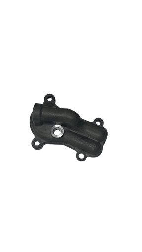 WATERPUMP COVER 250/300     03