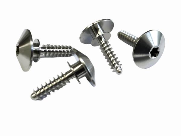 Seat holder screw