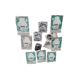 PISTON KIT GR. I 300 MX