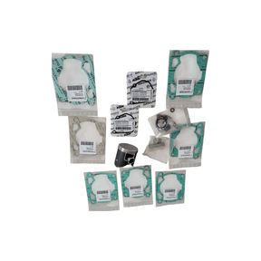 PISTON KIT GR. I 300 MX